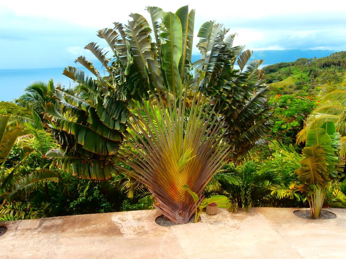 Korovesi Sunshine Villas Savusavu Esterno foto